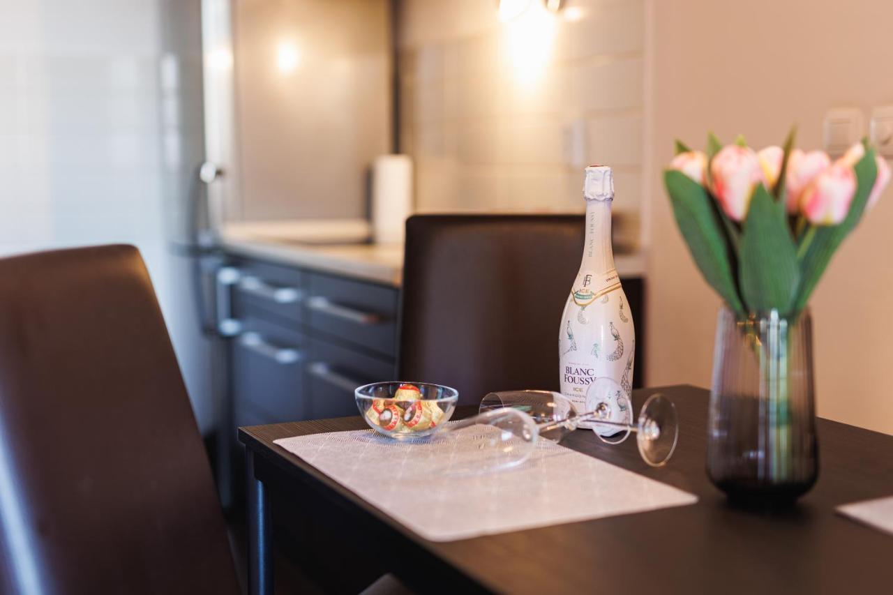 Flexible Selfcheckins 29 - - Garage - Loggia - New - Repinc * Zagreb